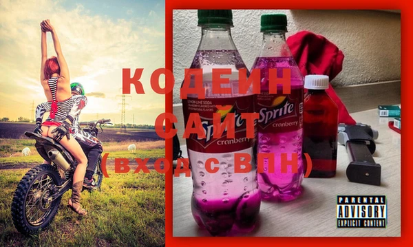 шишки Каменка