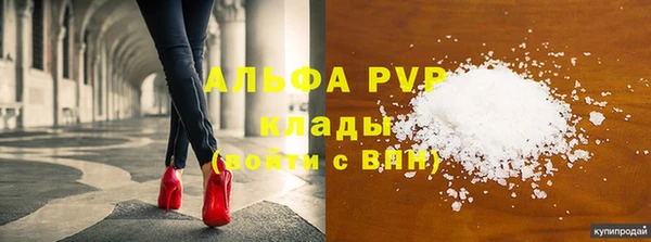 шишки Каменка