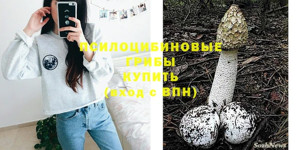 бошки Каменногорск
