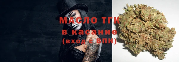 шишки Каменка