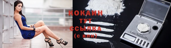 бошки Каменногорск