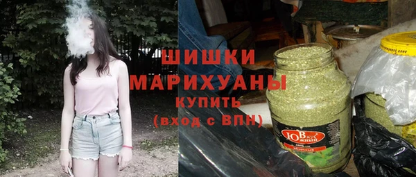 шишки Каменка