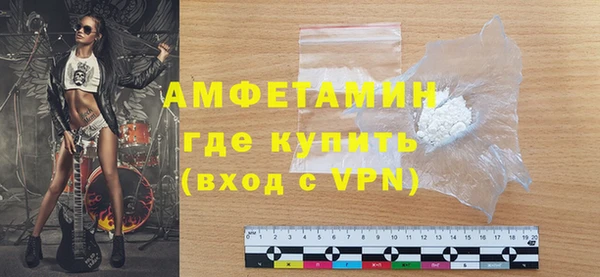 шишки Каменка