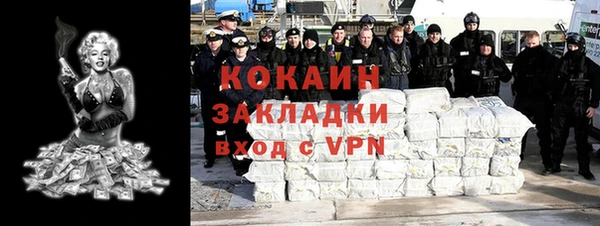 шишки Каменка